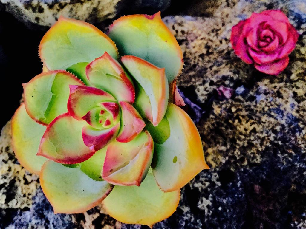 Finca Valentina Tigalate Εξωτερικό φωτογραφία