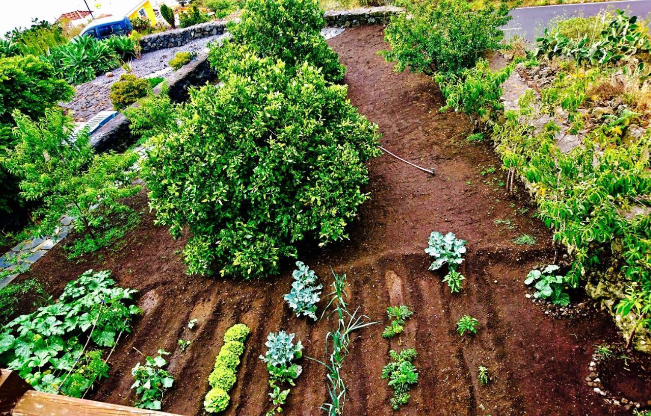Finca Valentina Tigalate Εξωτερικό φωτογραφία