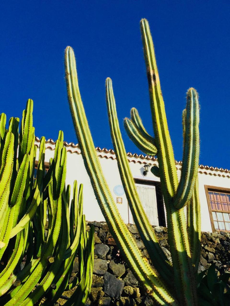 Finca Valentina Tigalate Εξωτερικό φωτογραφία